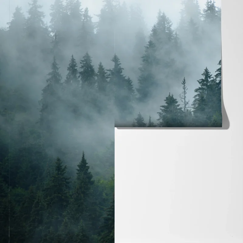 Fototapete nebeliger immergrüner wald Fototapete nebeliger immergrüner wald