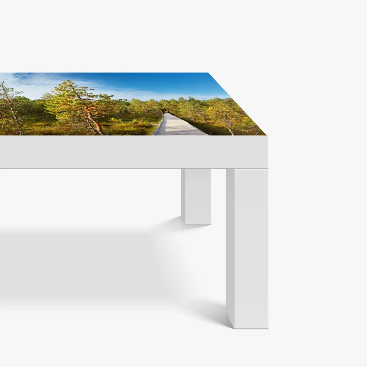 Tischaufkleber und Schreibtischaufkleber sonniger steg durch den kiefernwald Tischaufkleber und Schreibtischaufkleber sonniger steg durch den kiefernwald