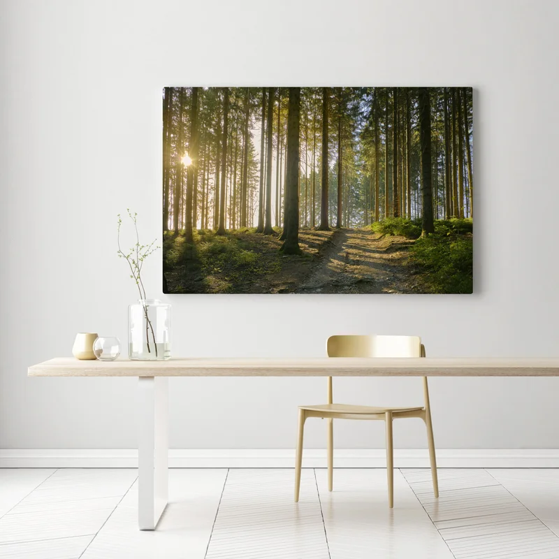 Leinwandbild sonniger waldweg im morgenlicht Leinwandbild sonniger waldweg im morgenlicht