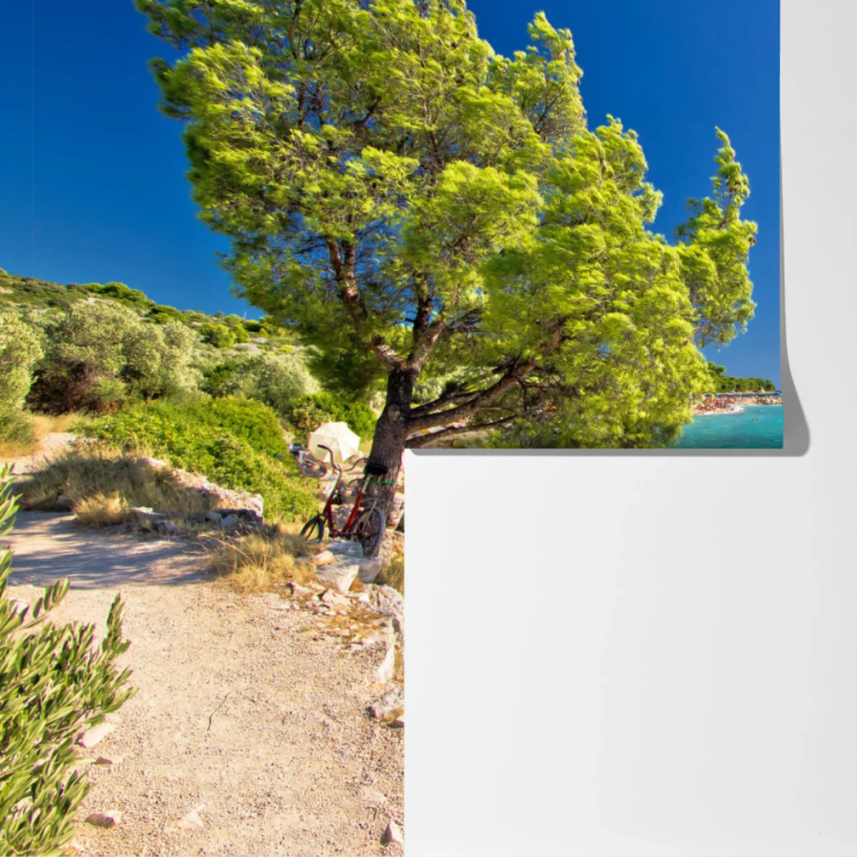 Fototapete idyllischer türkisfarbener strand auf der Insel Murter Fototapete idyllischer türkisfarbener strand auf der Insel Murter