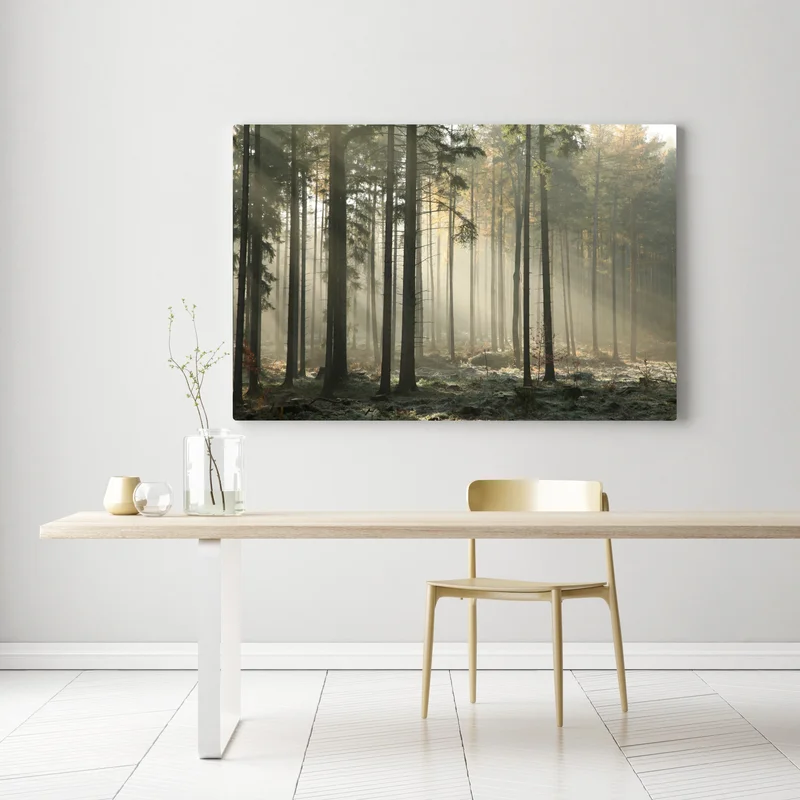 Leinwandbild nebliger morgenwald mit sonnenstrahlen Leinwandbild nebliger morgenwald mit sonnenstrahlen