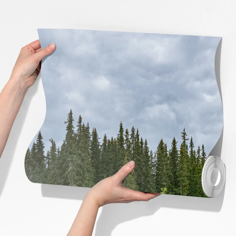 Fototapete nebliger wasserfall im dichten kiefernwald Fototapete nebliger wasserfall im dichten kiefernwald