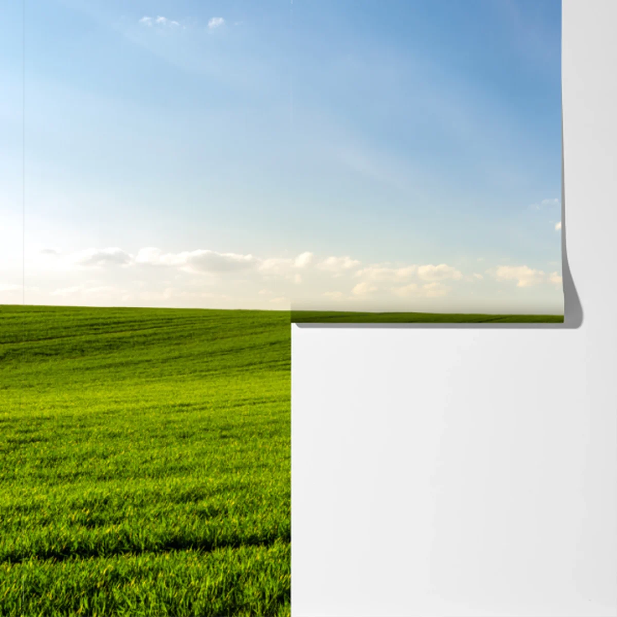 Fototapeta wiosenna zielona panorama łąki Fototapeta wiosenna zielona panorama łąki