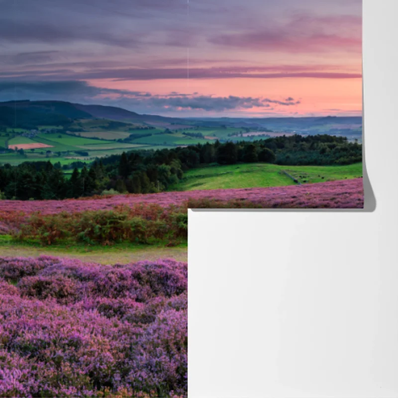 Fototapete violette heideflächen bei sonnenuntergang Fototapete violette heideflächen bei sonnenuntergang