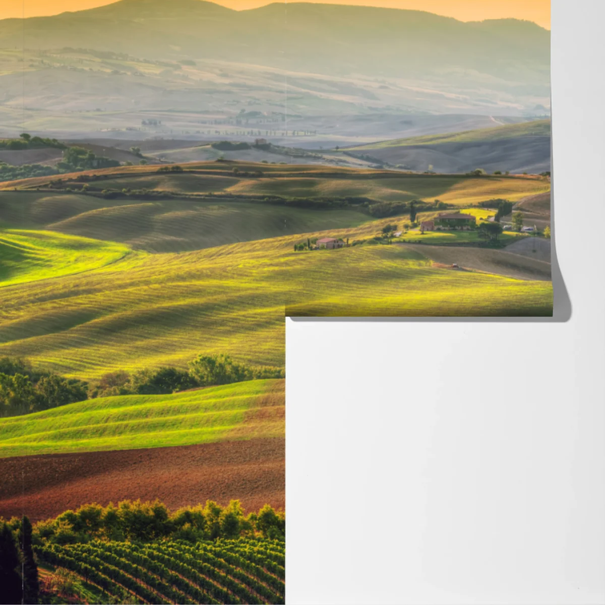 Fototapete Toskana friedliche hügel im abendlicht Fototapete Toskana friedliche hügel im abendlicht