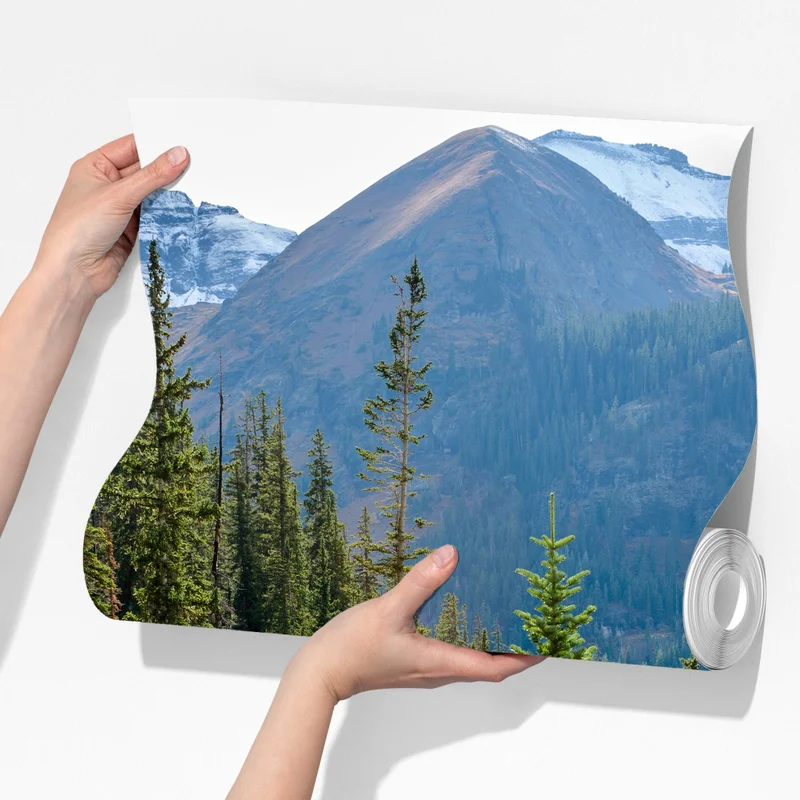 Fototapeta górski szlak przez alpejski las Fototapeta górski szlak przez alpejski las