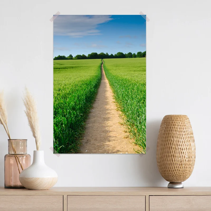 Poster sonnenbeschienener weg durch grüne wiese Poster sonnenbeschienener weg durch grüne wiese