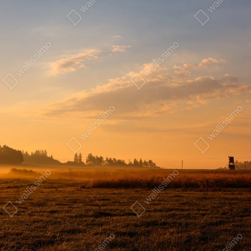 Poster Jäger turmen auf dem leeren Feld • Poster bei Wallnifity® Poster Jäger turmen auf dem leeren Feld • Poster bei Wallnifity®