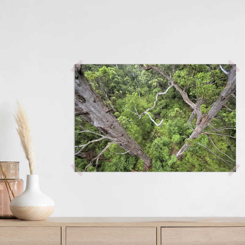 Poster Wald von oben gesehen • Poster bei Wallnifity® Poster Wald von oben gesehen • Poster bei Wallnifity®