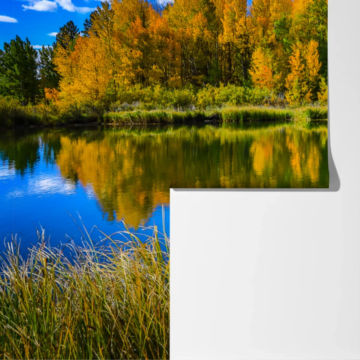 Fototapete herbstbäume spiegeln sich in einem ruhigen see Fototapete herbstbäume spiegeln sich in einem ruhigen see