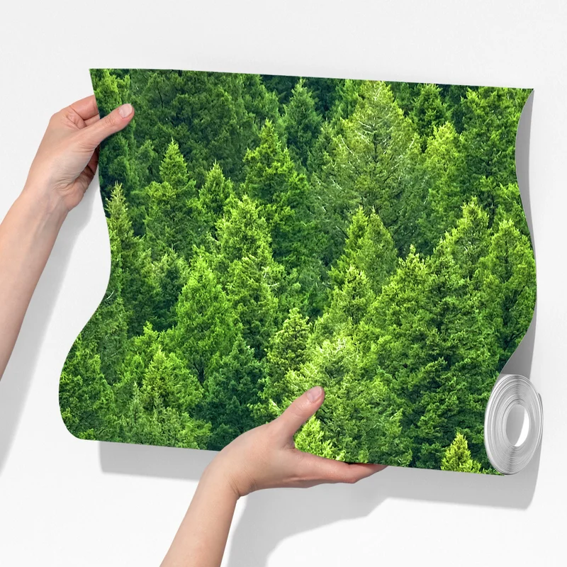 Fototapete üppige kronen eines kieferwaldes Fototapete üppige kronen eines kieferwaldes