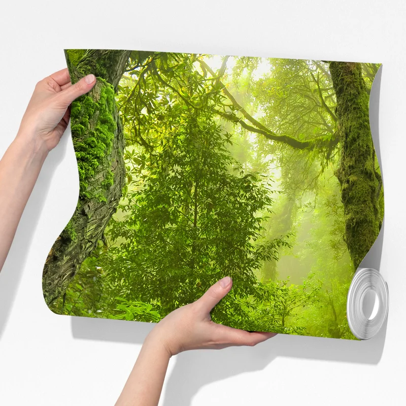 Fototapete üppiger grüner wald mit bach Fototapete üppiger grüner wald mit bach