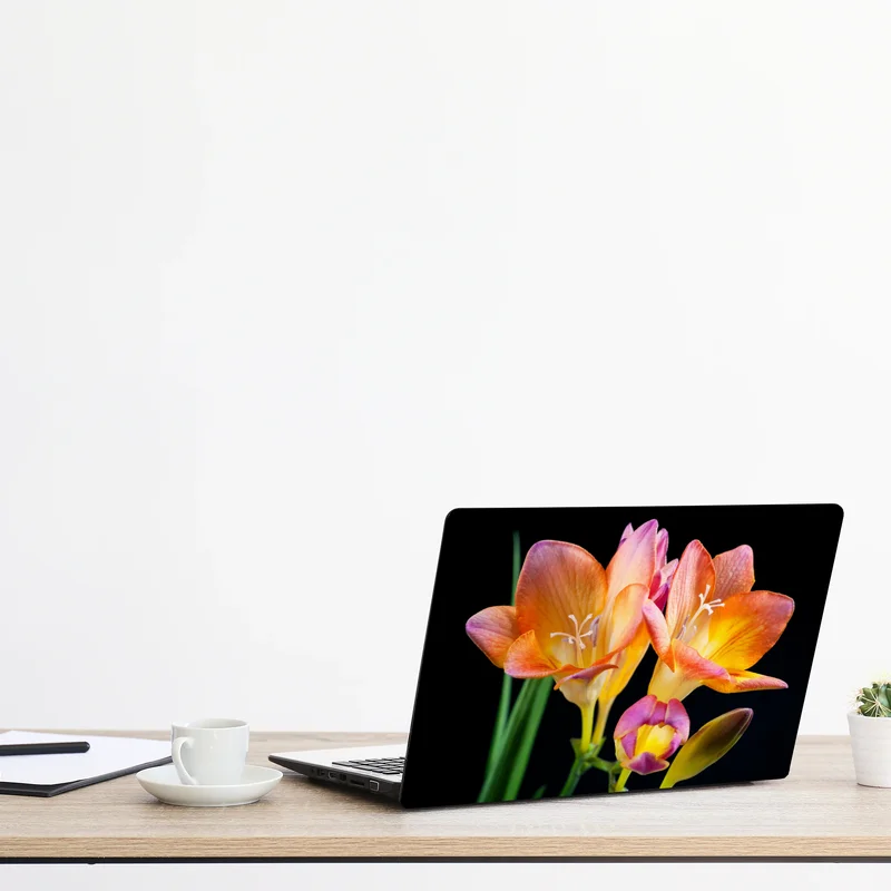 Laptop-Aufkleber leuchtende orange freesien vor schwarzem hintergrund Laptop-Aufkleber leuchtende orange freesien vor schwarzem hintergrund