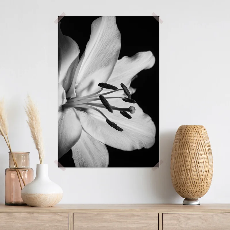 Poster monochrome lilie nahaufnahme Poster monochrome lilie nahaufnahme