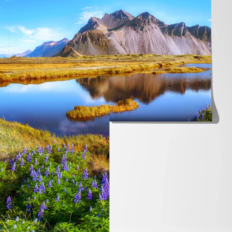 Fototapeta żywe łubinowe łąki przy Vestrahorn, Islandia Fototapeta żywe łubinowe łąki przy Vestrahorn, Islandia