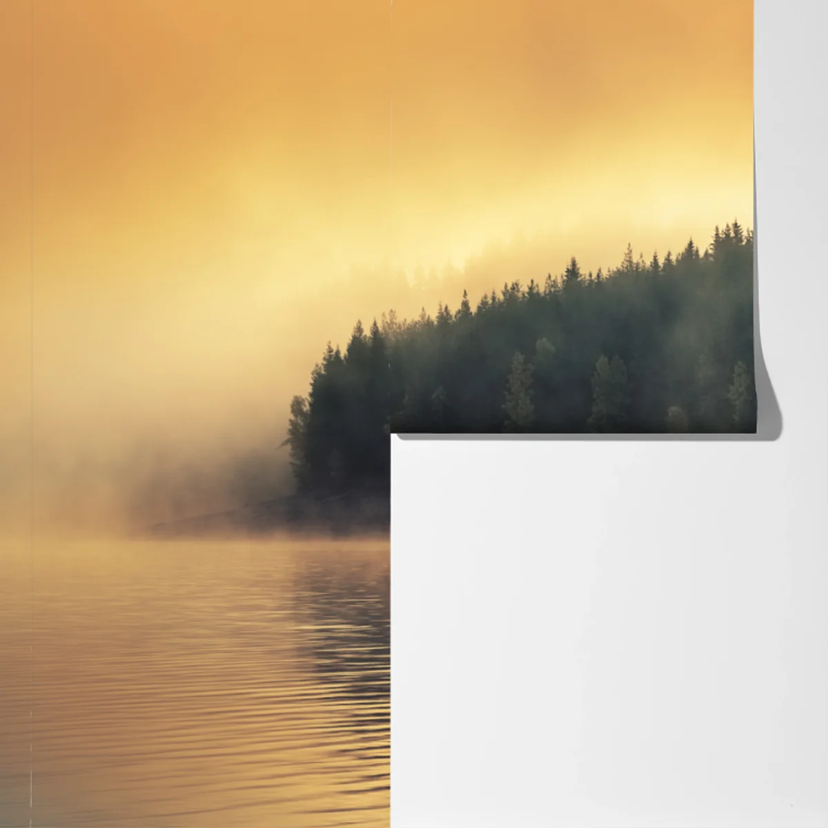 Fototapete nebeliger goldener sonnenaufgang über waldsee Fototapete nebeliger goldener sonnenaufgang über waldsee