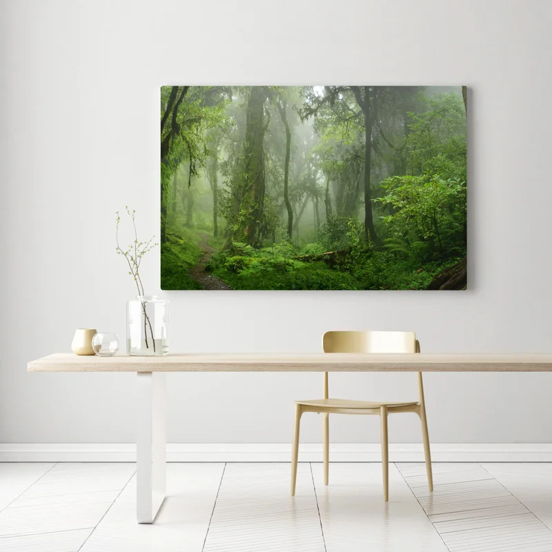 Leinwandbild nebliger tropischer dschungelpfad Leinwandbild nebliger tropischer dschungelpfad