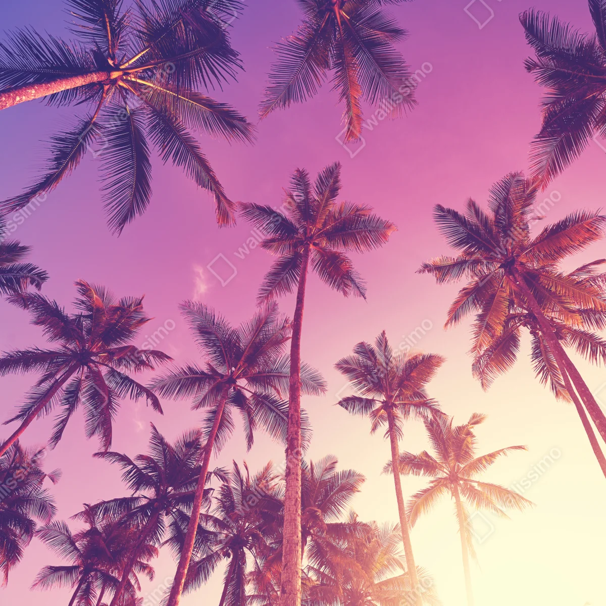 Schrankaufkleber tropische palmen beim sonnenuntergang Schrankaufkleber tropische palmen beim sonnenuntergang