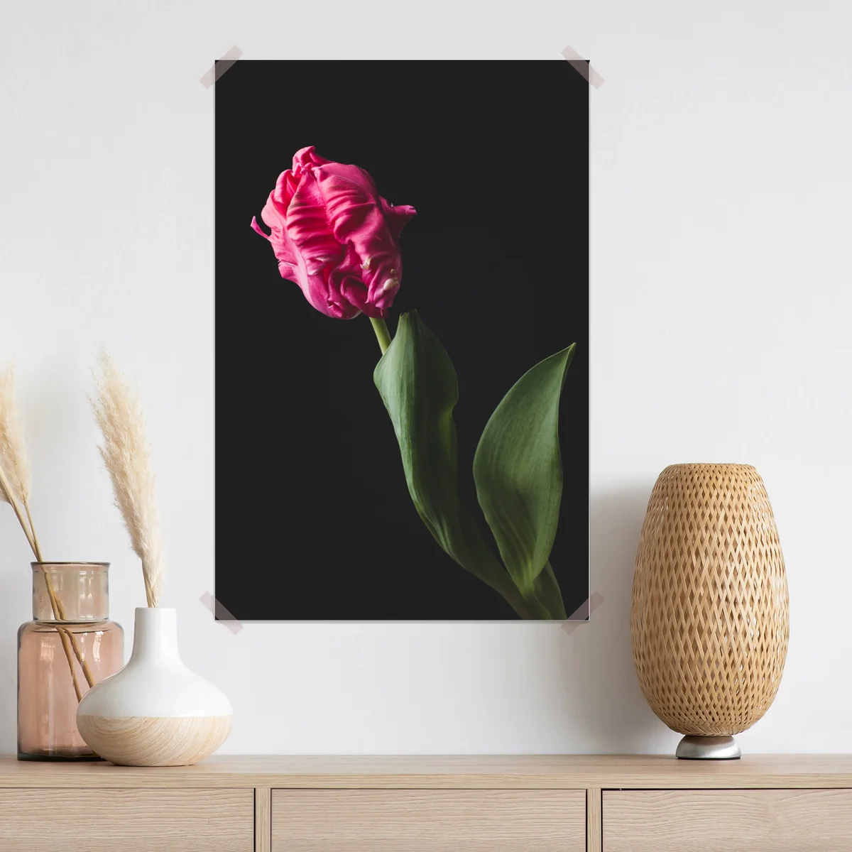 Poster elegante rosa tulpe auf schwarzem hintergrund • Poster bei Wallnifity® Poster elegante rosa tulpe auf schwarzem hintergrund • Poster bei Wallnifity®