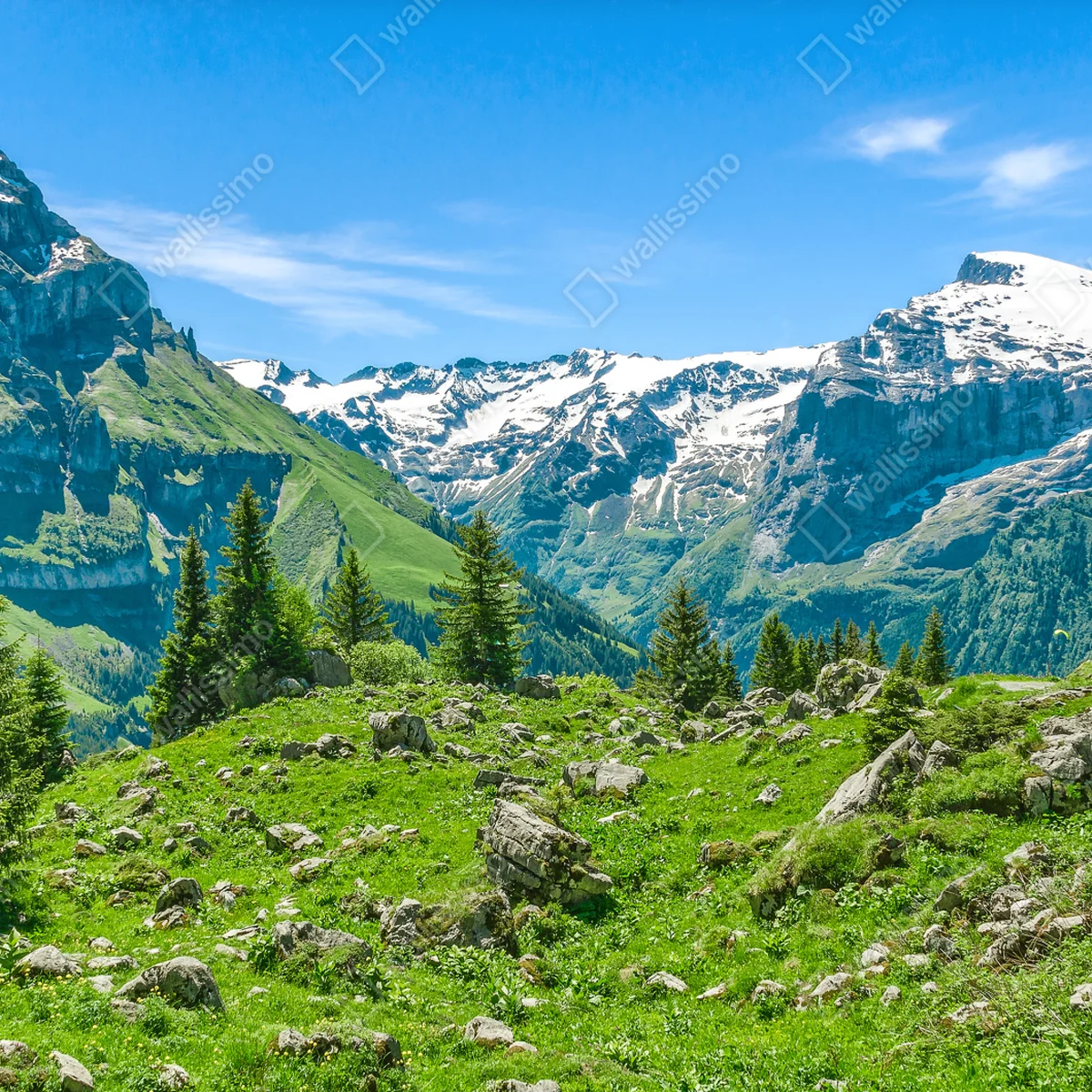 Leinwandbild sonnige alpwiese in Engelberg Leinwandbild sonnige alpwiese in Engelberg