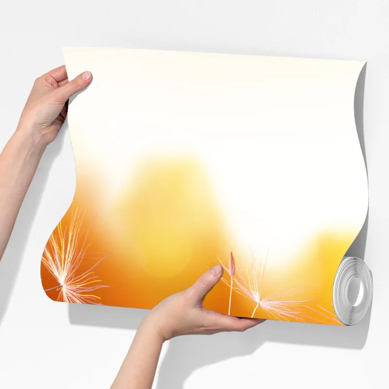 Fototapeta złoty dmuchawiec o zachodzie słońca Fototapeta złoty dmuchawiec o zachodzie słońca