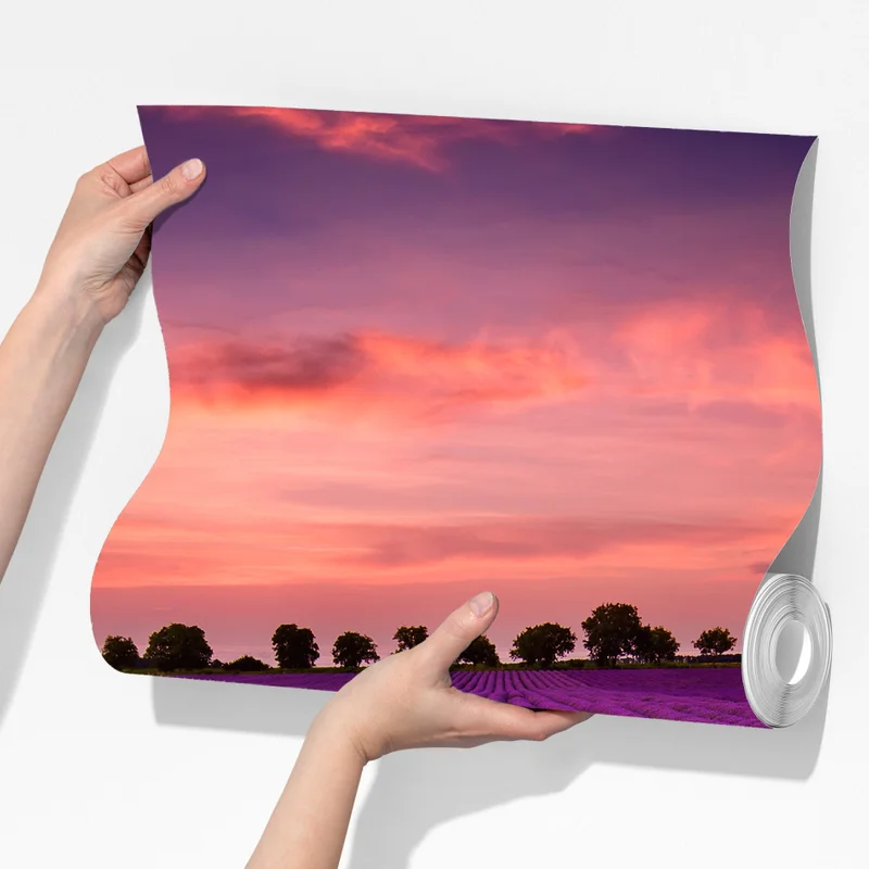 Fototapete lavendelfeld bei sonnenuntergang Fototapete lavendelfeld bei sonnenuntergang