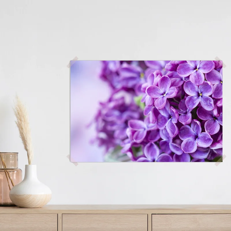 Poster lila fliederblüten nahaufnahme Poster lila fliederblüten nahaufnahme