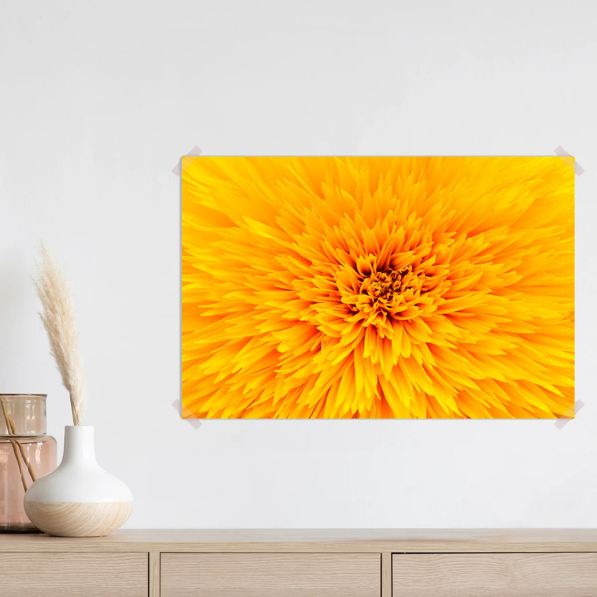 Poster strahlende sonnenblume nahaufnahme Poster strahlende sonnenblume nahaufnahme