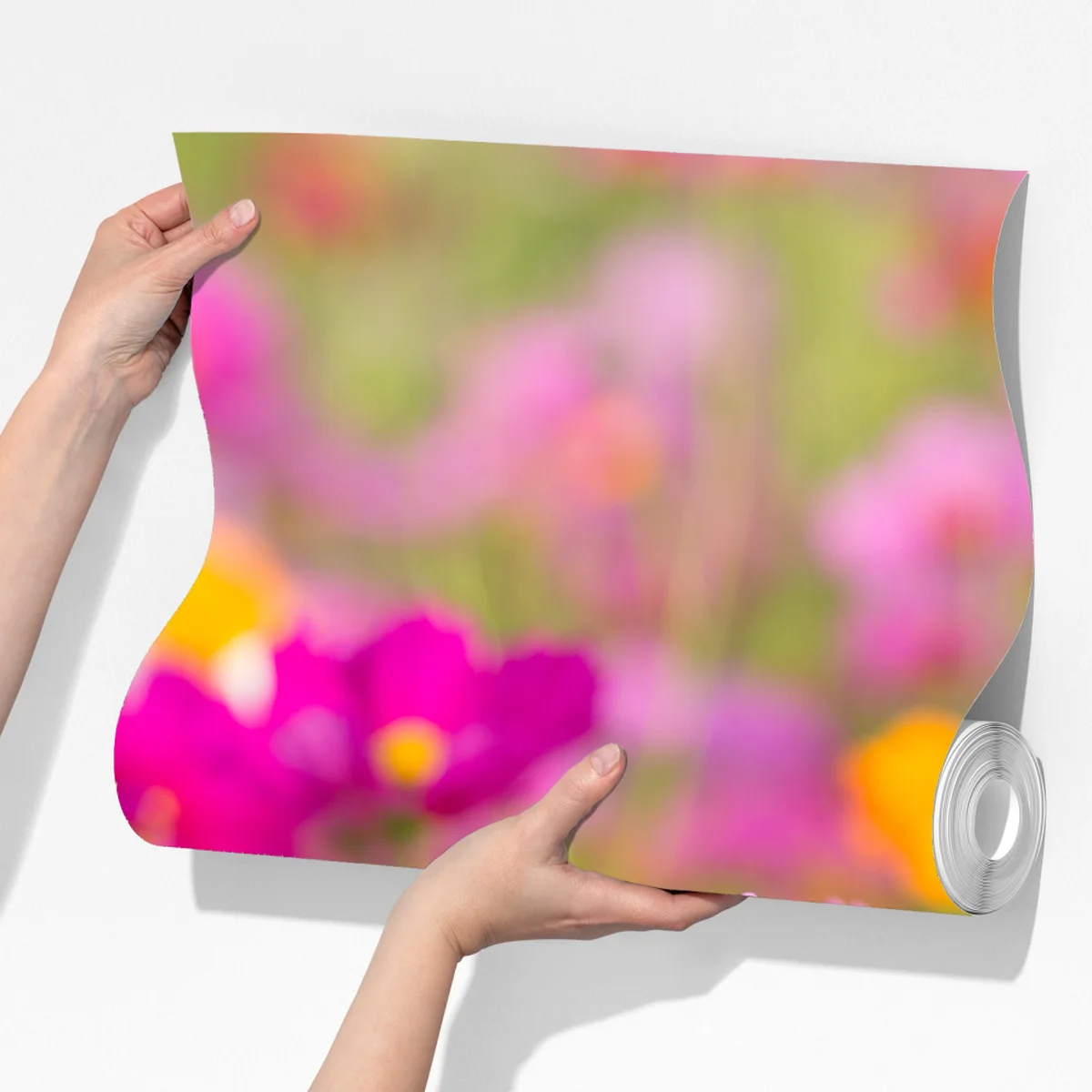 Fototapete rosa kosmeenwiese in blüte Fototapete rosa kosmeenwiese in blüte