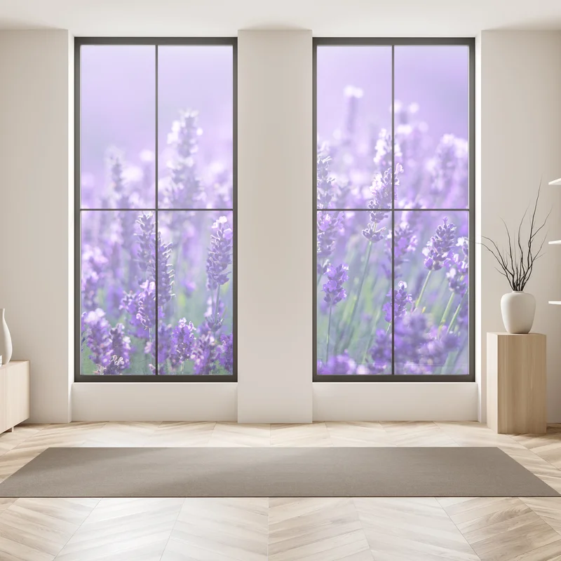 Fensteraufkleber lavendelfeld nahaufnahme Fensteraufkleber lavendelfeld nahaufnahme