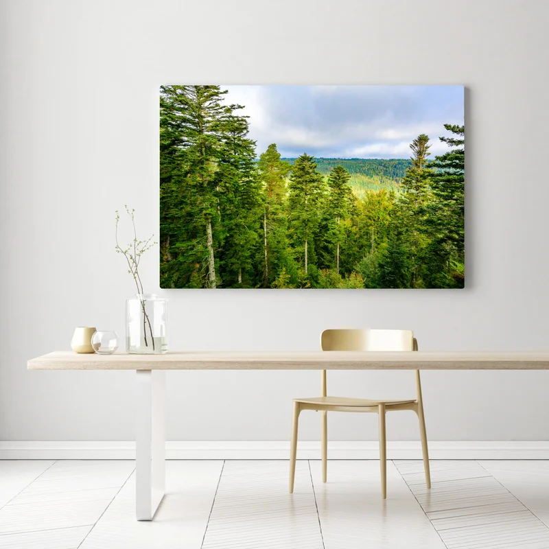 Leinwandbild Schwarzwald herbstliche waldlandschaft Leinwandbild Schwarzwald herbstliche waldlandschaft