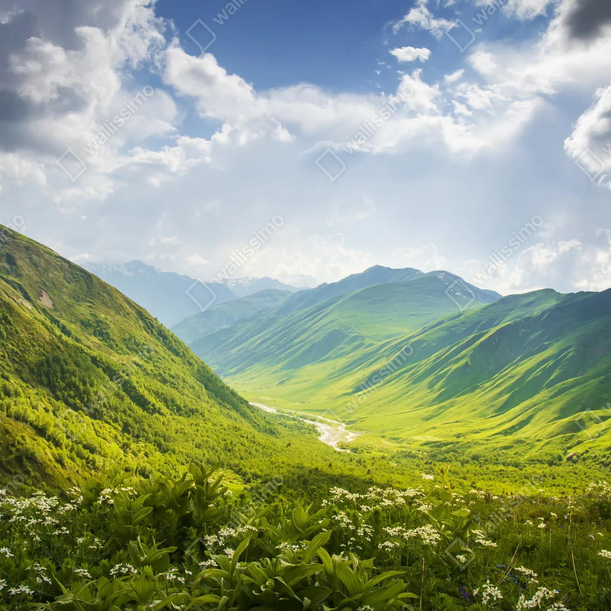 Leinwandbild üppiges grünes tal Leinwandbild üppiges grünes tal