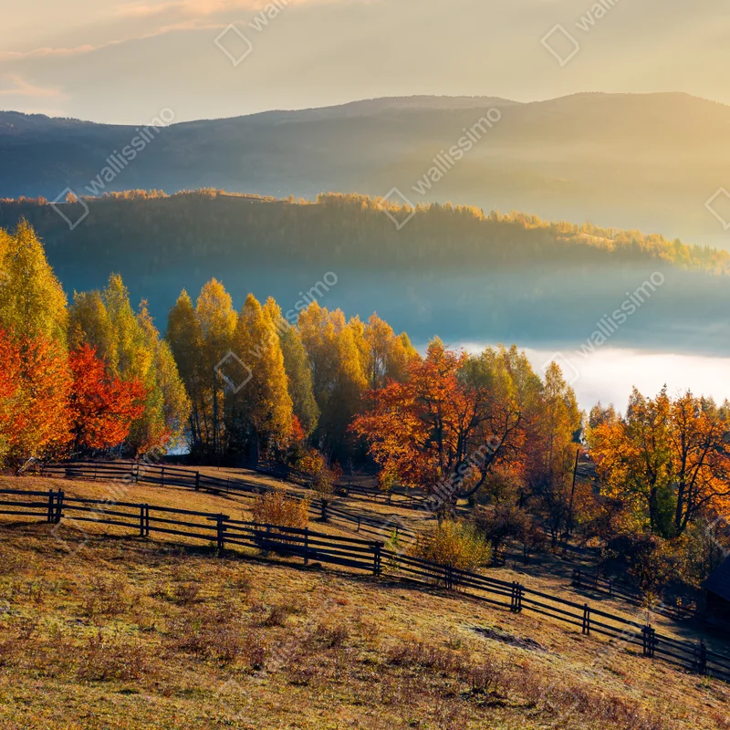 Fototapete nebliger herbstlicher sonnenaufgang auf dem land Fototapete nebliger herbstlicher sonnenaufgang auf dem land