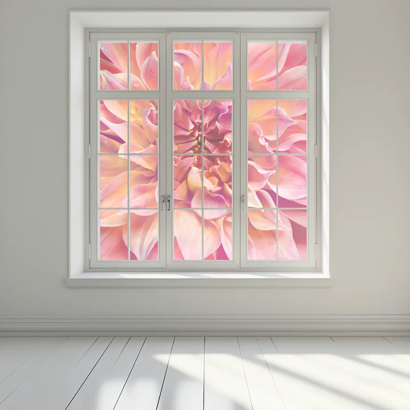 Fensteraufkleber rosa dahlie nahaufnahme