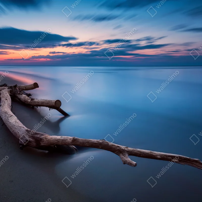 Fototapete treibholz bei dämmerung am ruhigen strand Fototapete treibholz bei dämmerung am ruhigen strand