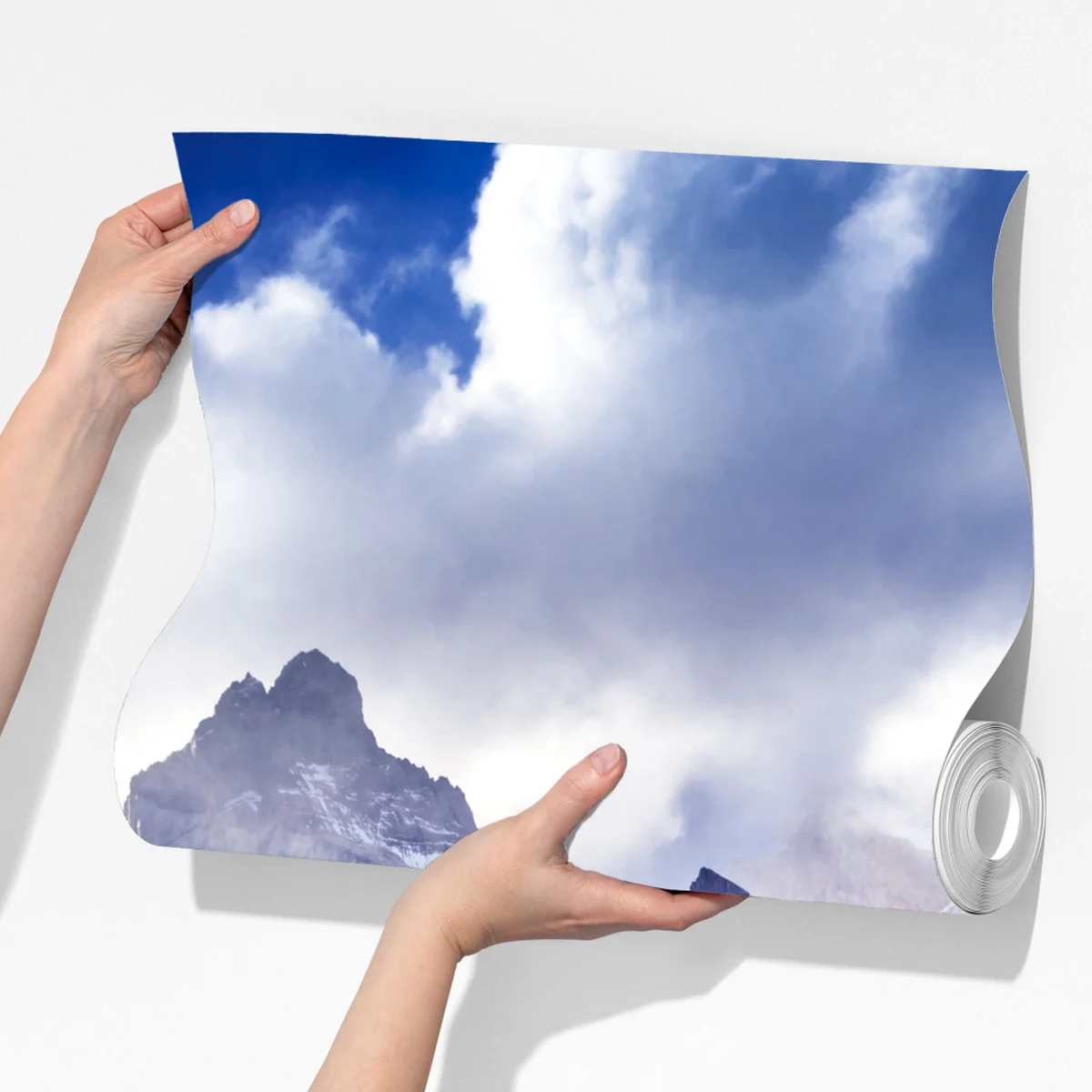 Fototapete Torres del Paine Patagonia landschaft mit guanako Fototapete Torres del Paine Patagonia landschaft mit guanako