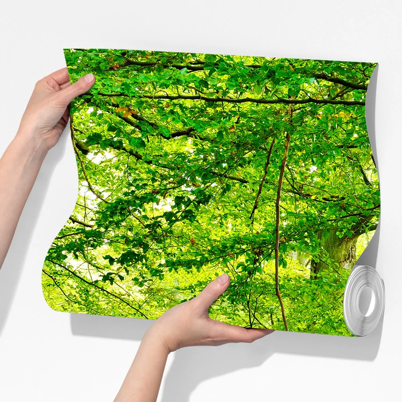 Fototapete ruhiger grüner waldpfad Fototapete ruhiger grüner waldpfad