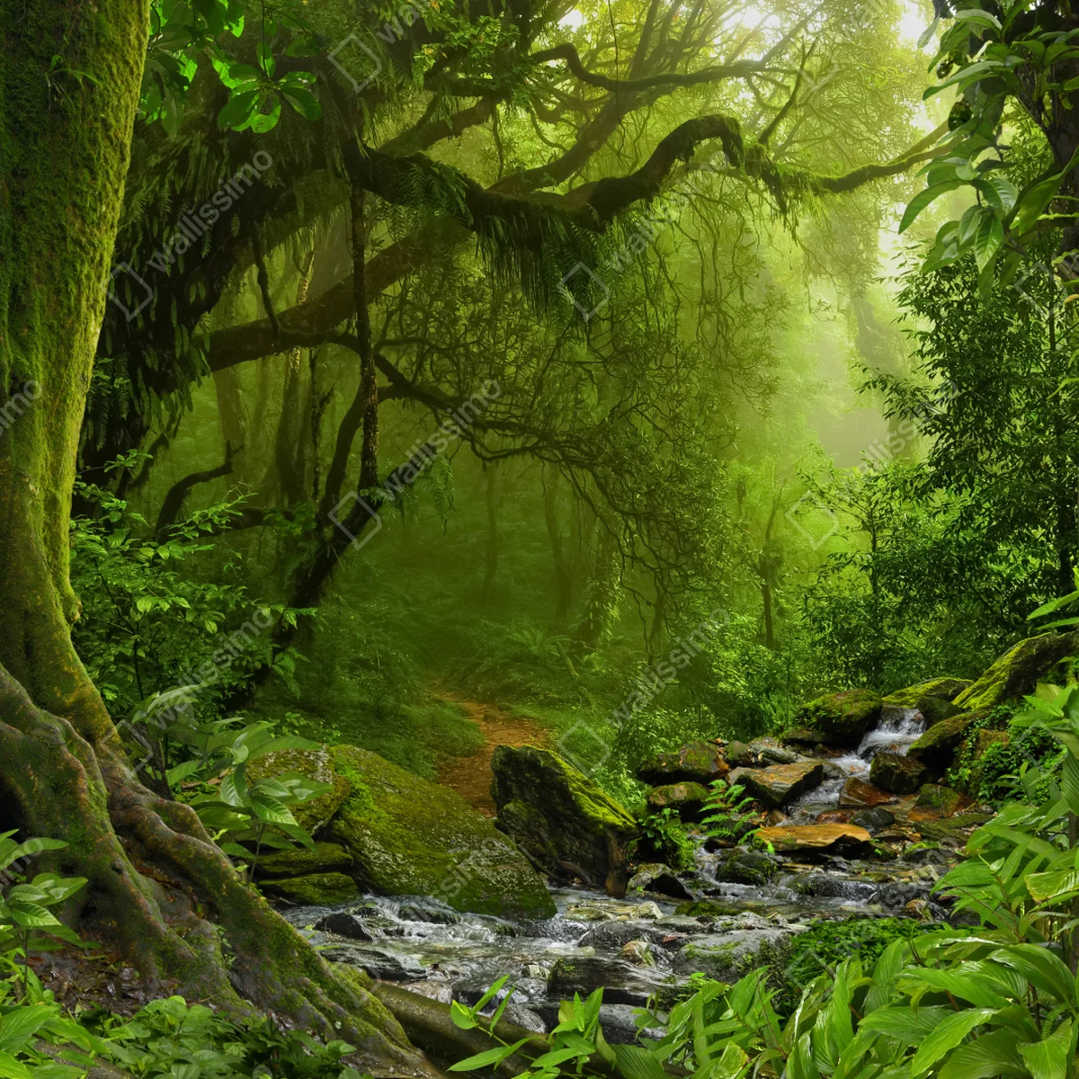 Repositionierbarer Aufkleber verwunschener grüner wald mit bach Repositionierbarer Aufkleber verwunschener grüner wald mit bach
