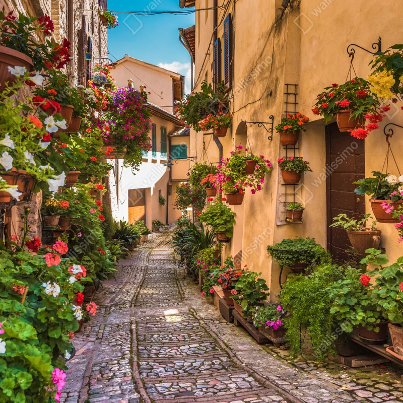 Fototapete sonnige blumengasse in Umbrien Fototapete sonnige blumengasse in Umbrien