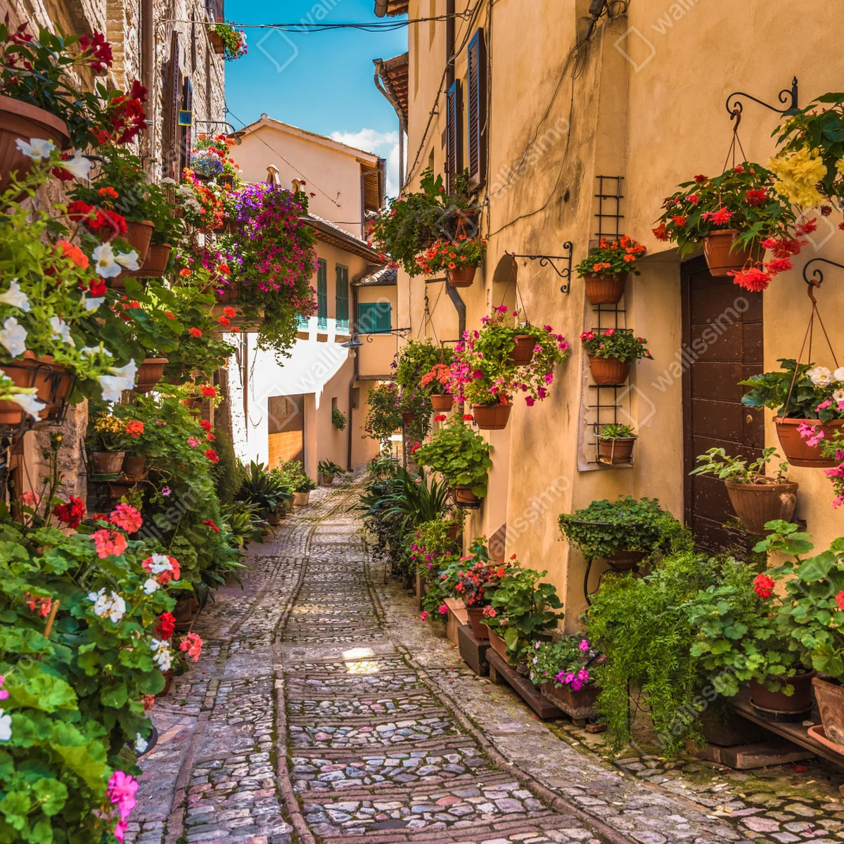 Fototapete sonnige blumengasse in Umbrien Fototapete sonnige blumengasse in Umbrien