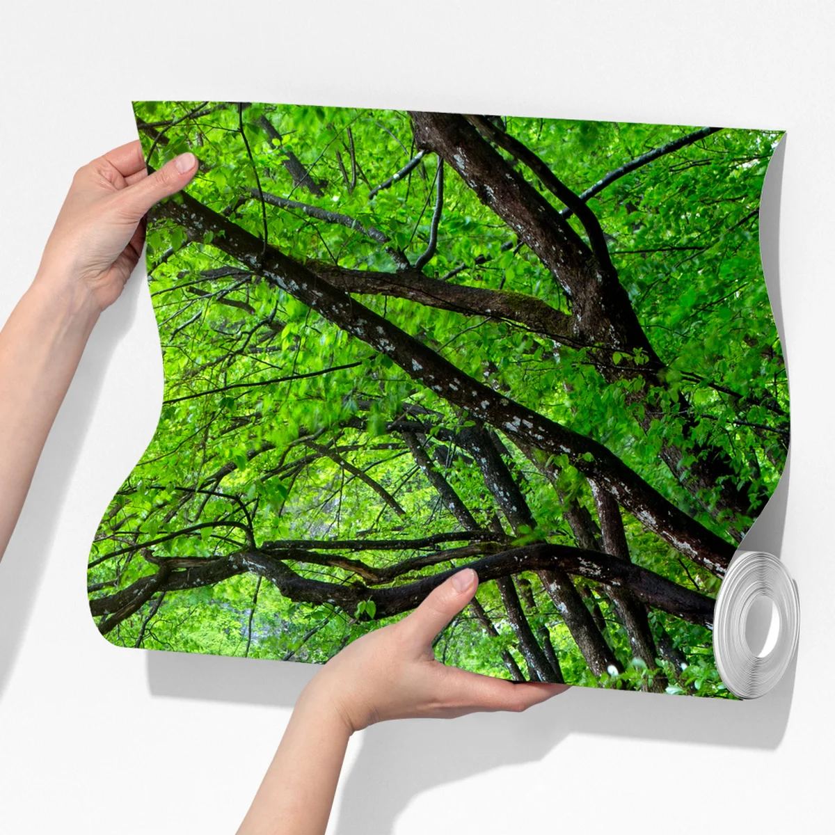 Fototapete ruhiger holzsteg am see im grünen wald Fototapete ruhiger holzsteg am see im grünen wald