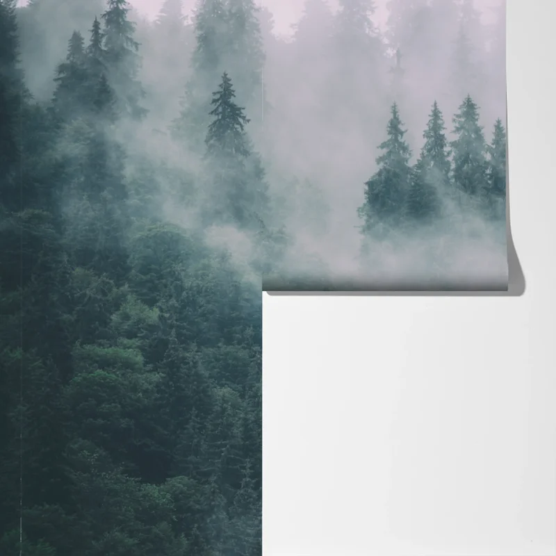 Fototapete nebliger immergrüner wald Fototapete nebliger immergrüner wald