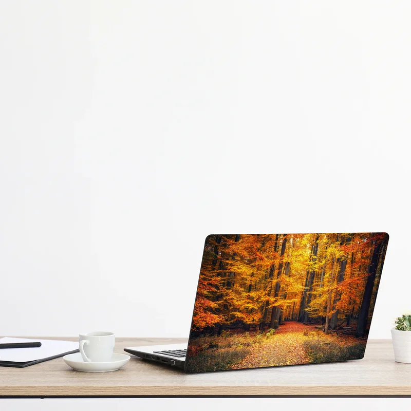 Laptop-Aufkleber herbstlicher waldpfad mit goldenen blättern