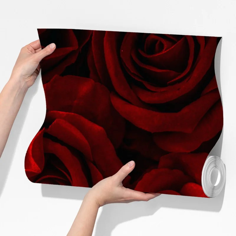 Fototapete intensive rote rosen nahaufnahme Fototapete intensive rote rosen nahaufnahme