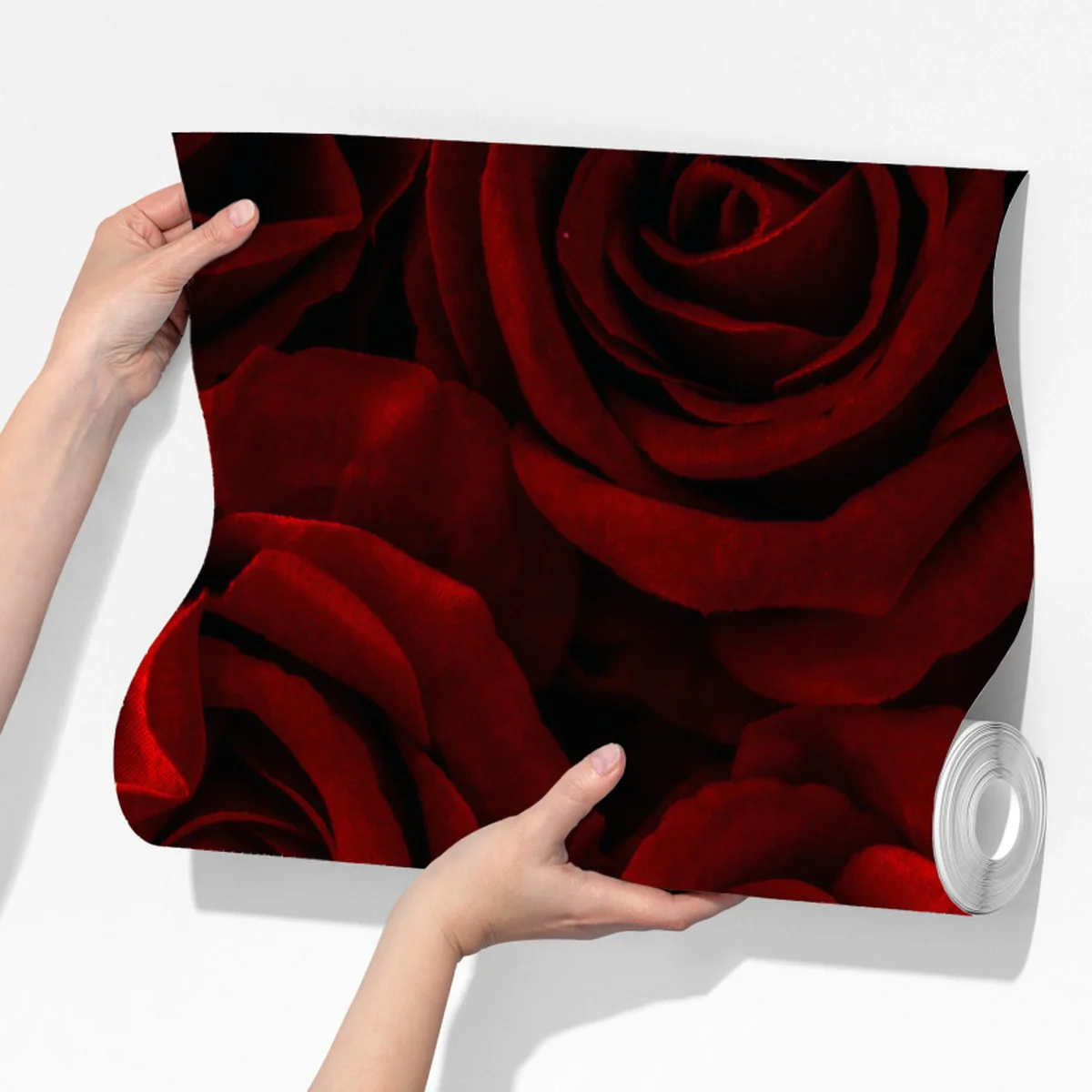 Fototapete intensive rote rosen nahaufnahme Fototapete intensive rote rosen nahaufnahme