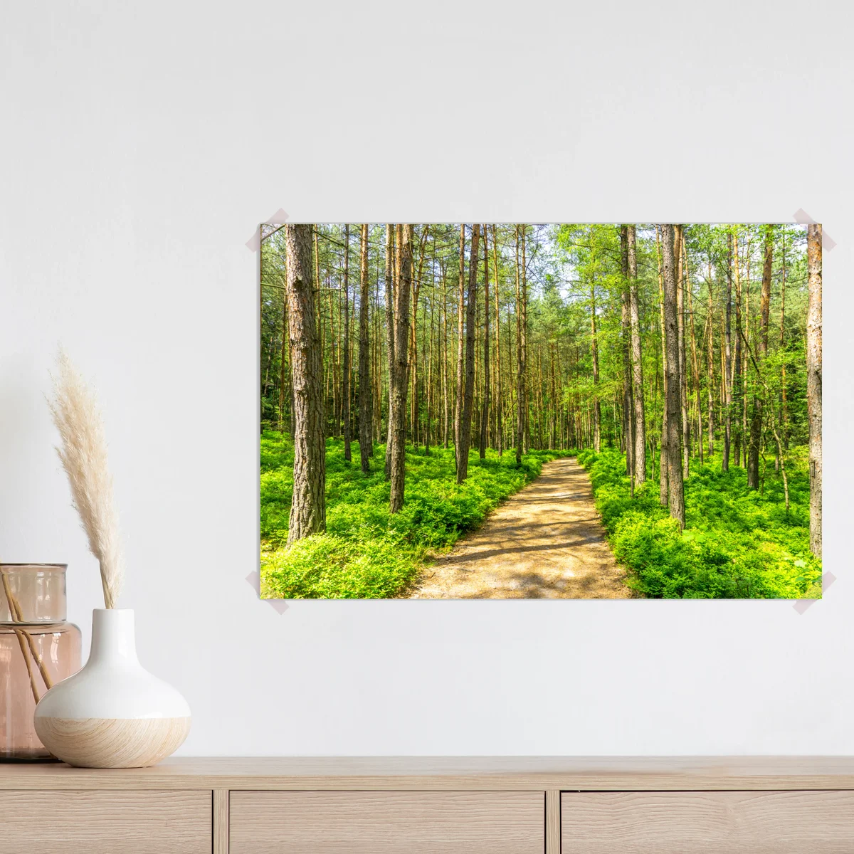 Poster sonniger waldweg zwischen kiefern Poster sonniger waldweg zwischen kiefern