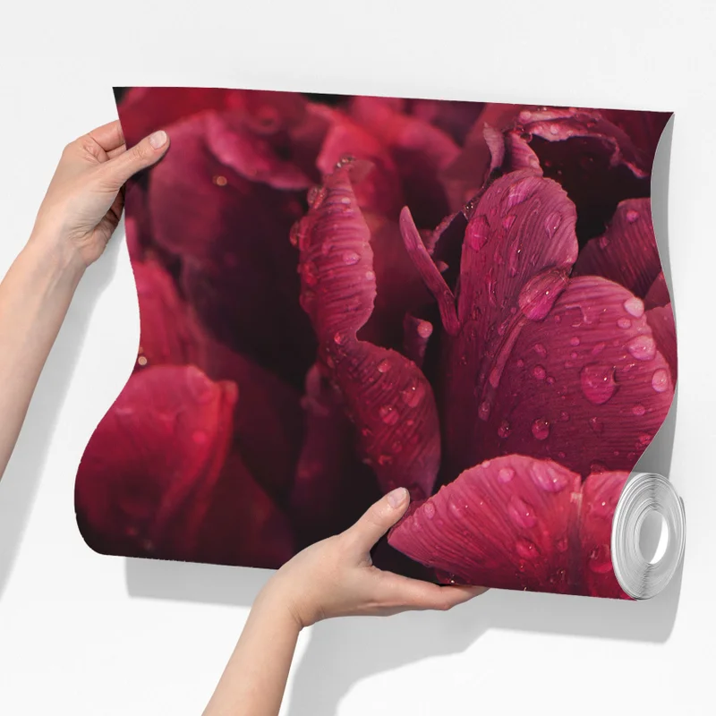Fototapete tiefrote blüten mit wassertropfen Fototapete tiefrote blüten mit wassertropfen