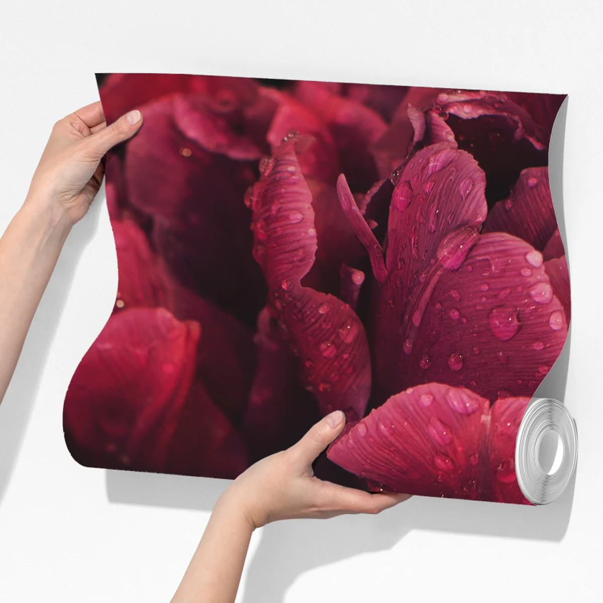 Fototapete tiefrote blüten mit wassertropfen Fototapete tiefrote blüten mit wassertropfen