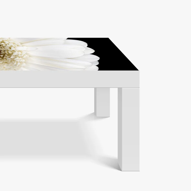 Tischaufkleber und Schreibtischaufkleber weiße gerbera auf schwarzem hintergrund minimalistische nahaufnahme Tischaufkleber und Schreibtischaufkleber weiße gerbera auf schwarzem hintergrund minimalistische nahaufnahme