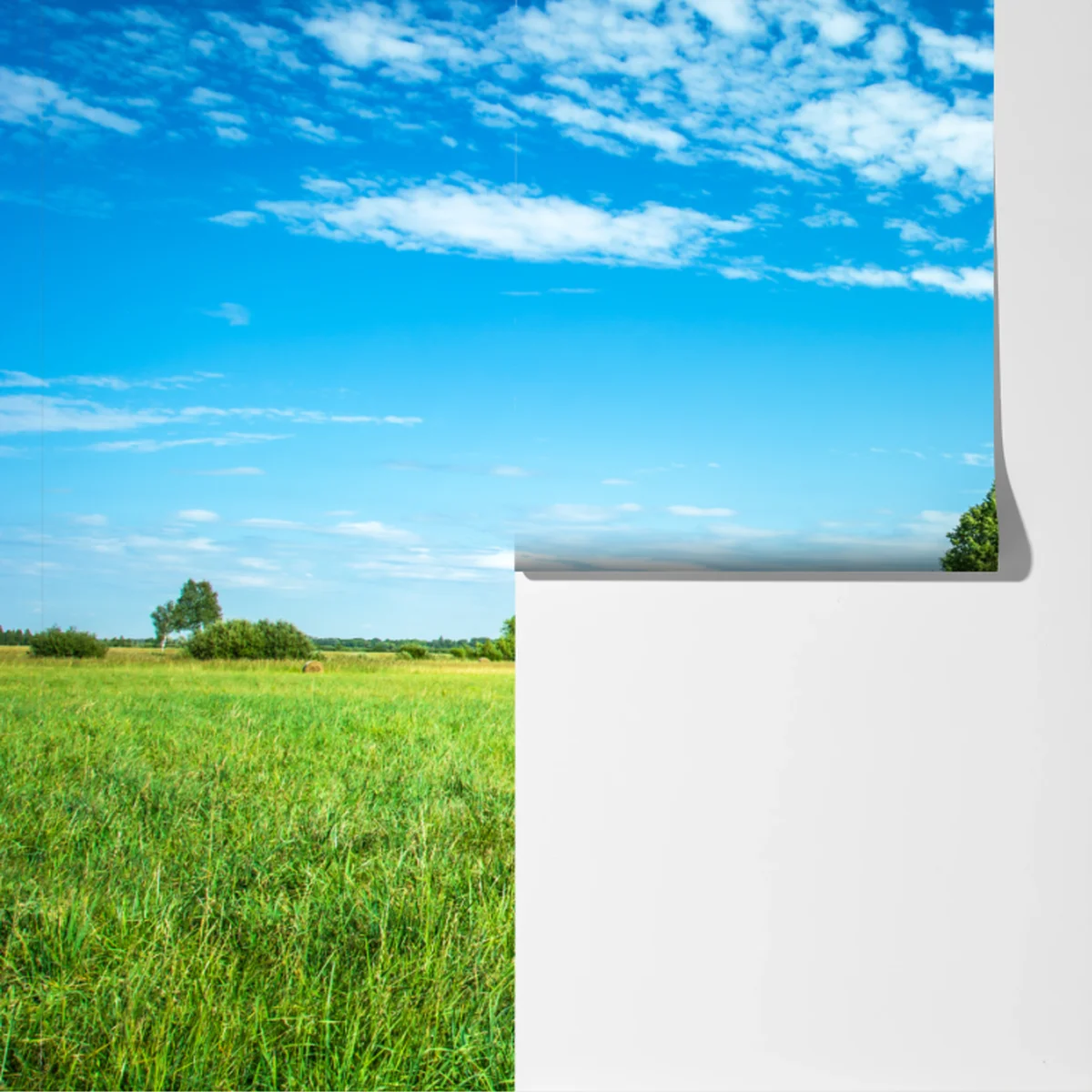 Fototapete sonnige grüne wiese unter blauem himmel Fototapete sonnige grüne wiese unter blauem himmel